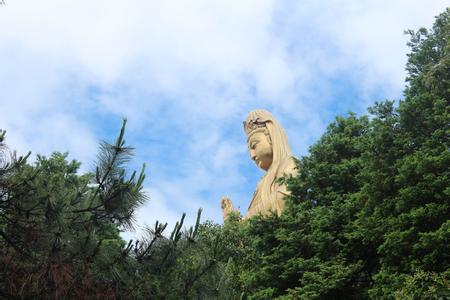 海天佛國普陀山、普濟(jì)寺、南海觀音 三天雙飛朝圣之旅PT-01